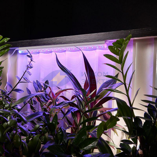 Светильник светодиодный для растений Green line 14Вт LED с комплектом креплений Rexant 616-001 фото 5
