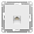 Розетка компьютерная AtlasDesign RJ45 кат.6A механизм лотос SE ATN001386