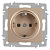 Розетка 1-м СП Accent 6-202-04 16А IP20 250В 2P+E Schuko шампань Intro Б0063690