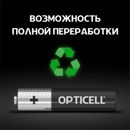 Элемент питания алкалиновый AAA/LR03 (блист. 4шт) Basic Opticell 5051002/6051002 фото 6 Элемент питания алкалиновый AAA/LR03 (блист. 4шт) Basic Opticell 5051002/6051002 фото 6