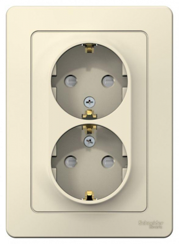 Розетка 2-м СП Blanca 16А IP20 250В с заземл. защ. шторки молоч. SE BLNRS001122 Розетка 2-м СП Blanca 16А IP20 250В с заземл. защ. шторки молоч. SE BLNRS001122