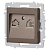 Розетка компьютерная 1-м СП Accent 6-303-08 RJ45 IP20 бронза Intro Б0063639