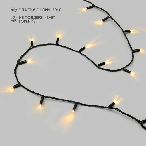 Гирлянда светодиодная "Нить" 10м 100LED тепл. бел. 12Вт 24В IP65 постоян. свечение провод ПВХ черн. Neon-Night 305-146 фото 2