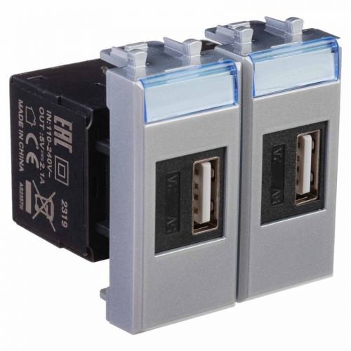 Устройство зарядное USB модульное 2мод. Avanti "Закаленная сталь" DKC 4404542 фото 2 Устройство зарядное USB модульное 2мод. Avanti "Закаленная сталь" DKC 4404542 фото 2