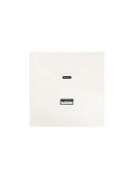 Розетка Type-C+ USB разъем СП ZIMA IP20 слон. кость LEZARD 704-9088-192TC