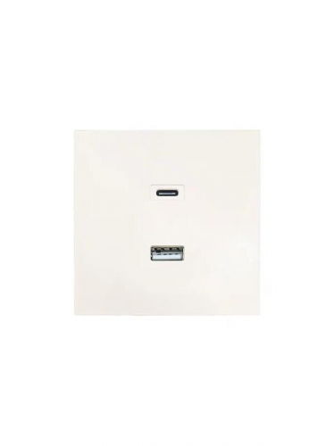 Розетка Type-C+ USB разъем СП ZIMA IP20 слон. кость LEZARD 704-9088-192TC Розетка Type-C+ USB разъем СП ZIMA IP20 слон. кость LEZARD 704-9088-192TC