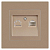 Розетка компьютерная 1-м СП Accent 6-303-04 RJ45 IP20 шампань Intro Б0063632