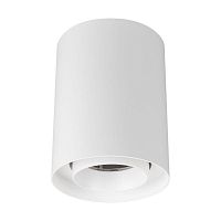 Светильник светодиодный SP-FOCUS-R110-18W Day4000 WH 24deg 230В IP54 18Вт 4000К метал. Arlight 054838