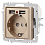 Розетка 1-м СП Accent 6-410-04 16А IP20 250В P+E Schuko + 2хUSB защ. шторки шампань Intro Б0063696