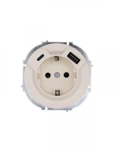 Розетка 1-м СП OSEN с заземл. TC + USB разъем механизм сл. кость LEZARD 743-9088-181TC
