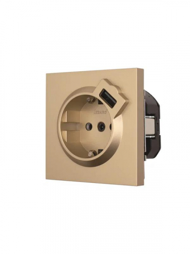 Розетка 1-м СП ZIMA IP20 + USB с заземл. механизм зол. LEZARD 704-3688-181 фото 2