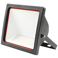 Прожектор светодиодный PFL-AS 50Вт 4000К IP65 ДО асимметричный Pro+ JazzWay 5022478