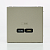 Розетка USB ArtGallery тип C 65Вт QC PD высокоскор. ЗУ механизм шампань SE GAL000527