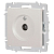 Розетка телевизионная одиночная TV СП Accent 6-301-06 IP20 перламутр. Intro Б0063613