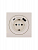 Розетка 1-м СП OSEN с заземл. TC + USB разъем механизм сл. кость LEZARD 743-9088-181TC