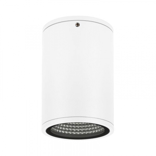 Светильник LGD-FORMA-SURFACE-R90-12W Day4000 (WH 44 deg 230В) (IP54 металл) Arlight 037259 Светильник LGD-FORMA-SURFACE-R90-12W Day4000 (WH 44 deg 230В) (IP54 металл) Arlight 037259