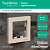 Рамка 1-м AtlasDesign песочн. SE ATN001201