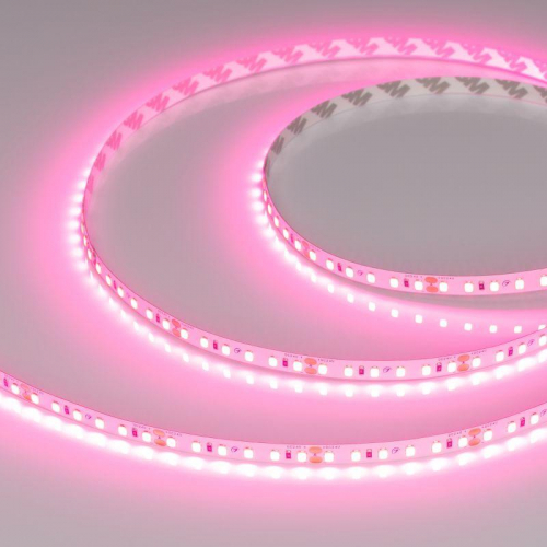 Лента светодиодная RT-A120-8mm 24V Pink 9.6Вт/м IP20 2835 (уп.5м) Arlight 043380 Лента светодиодная RT-A120-8mm 24V Pink 9.6Вт/м IP20 2835 (уп.5м) Arlight 043380