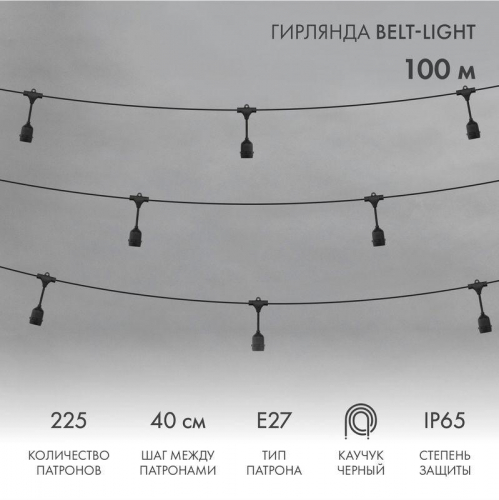 Гирлянда "Белт Лайт" 2жил. шаг 40см подвесные патроны E27 1320Вт IP65 влагостойкая (уп.100м) Neon-Night 331-231