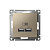 Розетка USB AtlasDesign тип A+A 5В 1х2.1А 2х1.05А механизм шампань SE ATN000533