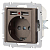 Розетка 1-м СП Accent 6-410-08 16А IP20 250В P+E Schuko + 2хUSB защ. шторки бронза Intro Б0063704