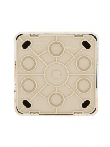 Розетка компьютерная 1-м ОП Viola RJ45 беленый дуб LEZARD 751-5200-139 фото 2