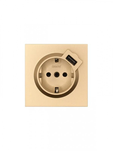 Розетка 1-м СП ZIMA IP20 + USB с заземл. механизм зол. LEZARD 704-3688-181