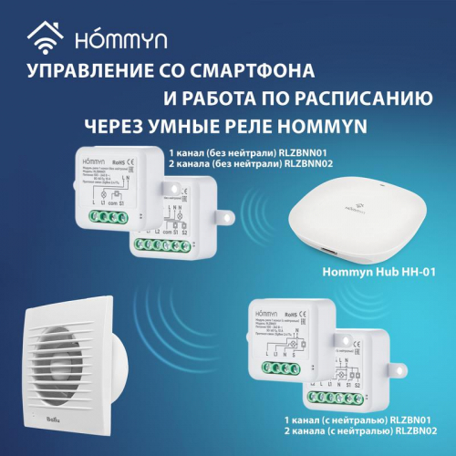 Вентилятор вытяжной BAF-FW 100 N Ballu НС-1606093 фото 10
