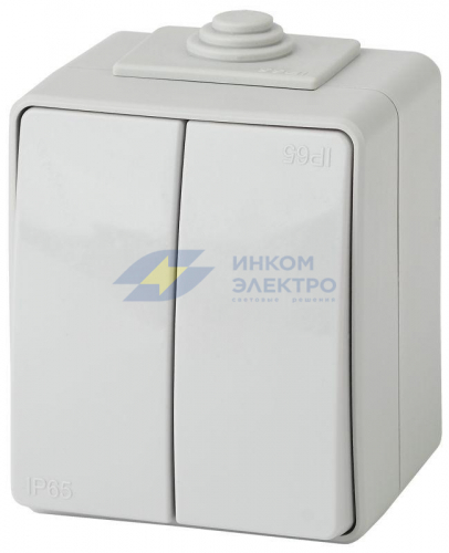 Выключатель 2-кл. ОП Эра Эксперт 10А IP65 11-1604-03 250В 10AX (10/100/1600) сер. Эра Б0035976