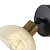 Светильник Bessie 1х60Вт E27 IP20 бра настен. Freya FR5526WL-01BBZ