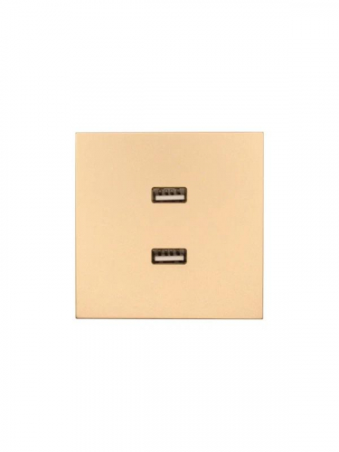 Розетка 2-м СП ZIMA IP20 USB механизм зол. LEZARD 704-3688-192 Розетка 2-м СП ZIMA IP20 USB механизм зол. LEZARD 704-3688-192