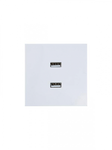 Розетка 2-мест. USB разъем СП ZIMA IP20 бел. LEZARD 704-0288-192 фото 3 Розетка 2-мест. USB разъем СП ZIMA IP20 бел. LEZARD 704-0288-192 фото 3