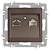 Розетка компьютерная 1-м СП Accent 6-303-08 RJ45 IP20 бронза Intro Б0063639