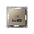 Розетка USB AtlasDesign тип A+C 5В/2.4А 2х5В/1.2А механизм шампань SE ATN000539