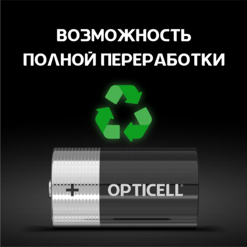 Элемент питания алкалиновый D/LR20 1.5В (блист. 2шт) Basic Opticell 5051005/6051005 фото 6 Элемент питания алкалиновый D/LR20 1.5В (блист. 2шт) Basic Opticell 5051005/6051005 фото 6