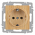 Розетка 1-м СП Accent 6-202-11 16А IP20 250В 2P+E Schuko сосна Intro Б0063706