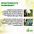 Стул-подколенник Green Apple Б0038607