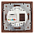 Розетка компьютерная 1-м СП Plano 1-303-10 RJ45 IP20 венге Intro Б0030088