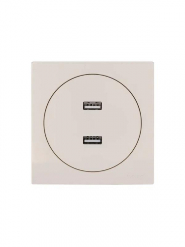 Розетка 2-м СП OSEN USB разъем механизм сл. кость LEZARD 743-9088-192 фото 3 Розетка 2-м СП OSEN USB разъем механизм сл. кость LEZARD 743-9088-192 фото 3